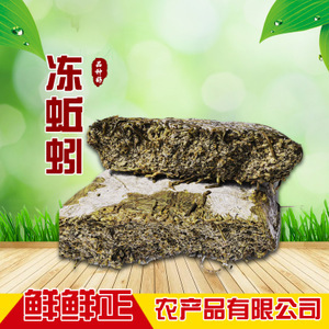 【蚓蚯蚓】蚓蚯蚓价格/图片_蚓蚯蚓批发/采购_蚓蚯蚓厂家/供应商